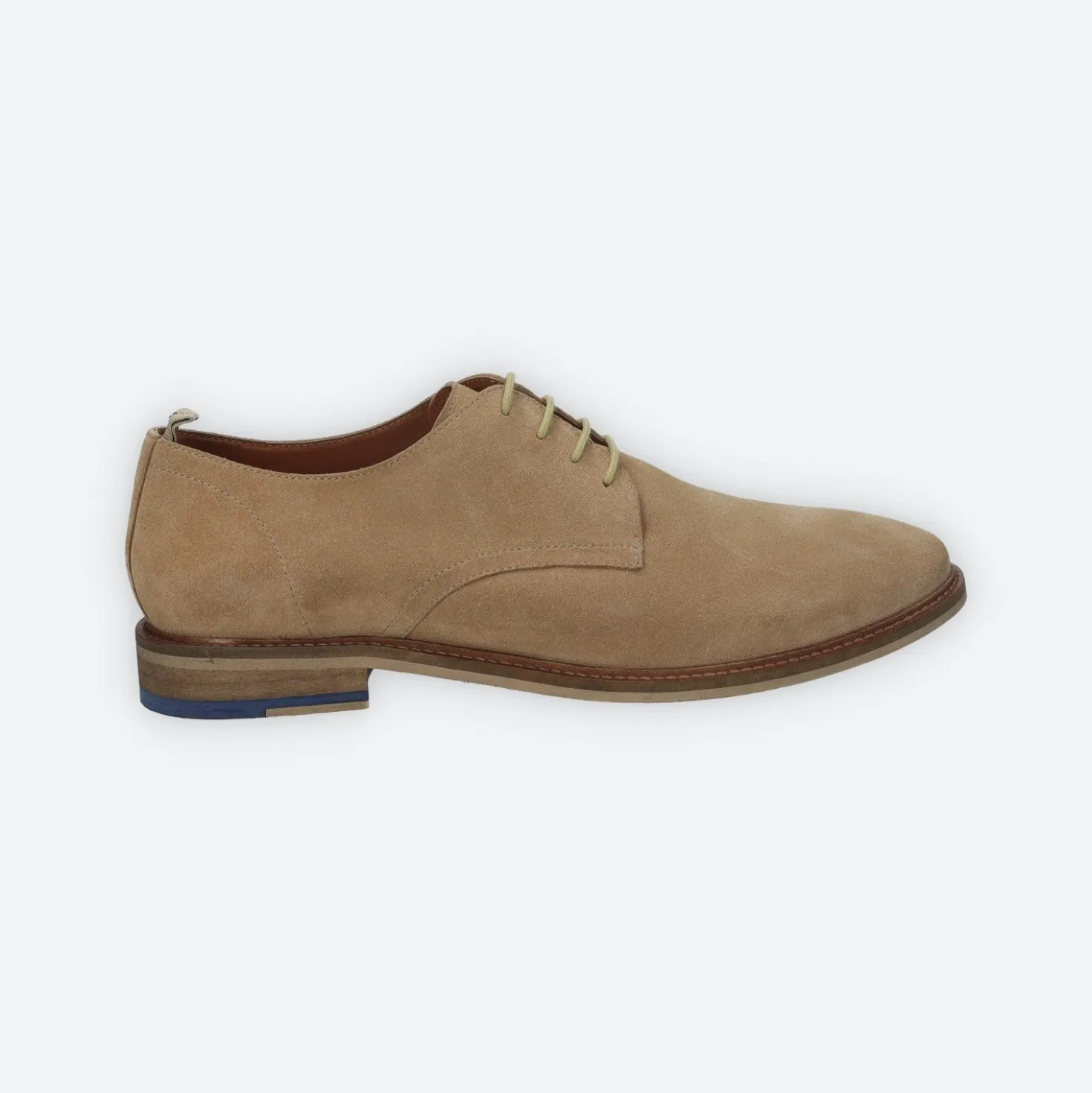 Stringate in vero suede